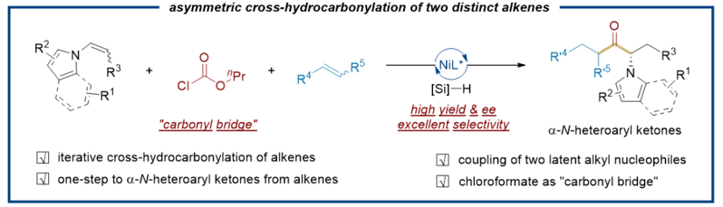 Angew. Chem. ：鎳催化下烯烴和N-烯基雜芳烴的化學、區域和對映選擇性羰基化反應合成α-N-雜芳基酮