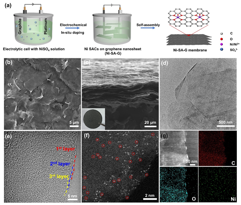 Angew. Chem. ：鎳單原子修飾石墨烯膜助力鋰離子高效脫溶劑化
