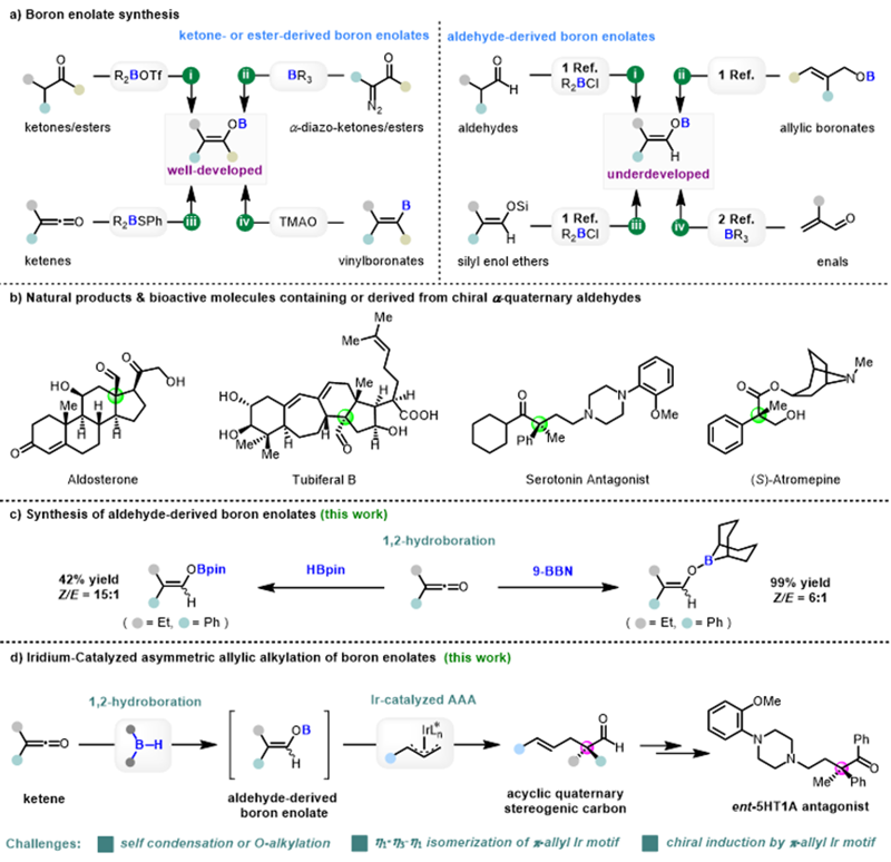 Angew. Chem. ：銥催化硼烯醇的不對稱烯丙基化反應構建非環全碳四元立體中心