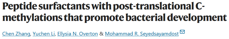 Nat. Chem. Biol. | 天然多甲基化多肽可作為表面活性劑促進細菌發育