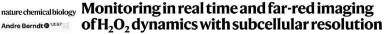 Nat. Chem. Biol. | 在亞細胞水平對H2O2進行實時監測和遠紅外成像