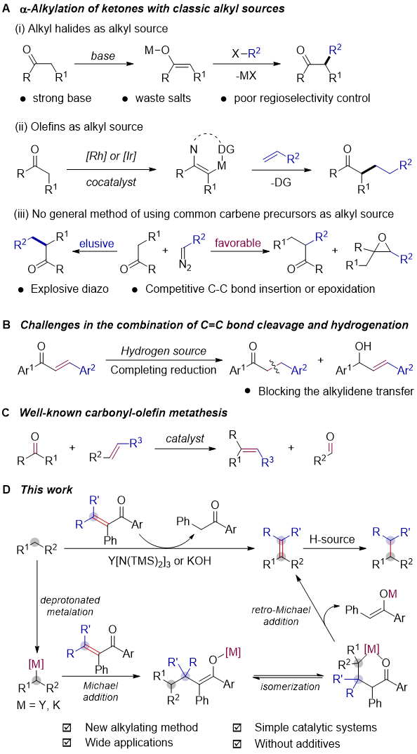 Angew. Chem.：復旦大學周錫庚教授團隊 通過催化烯基酮亞烷基轉移實現的C–H鍵烷基化與亞烷基化
