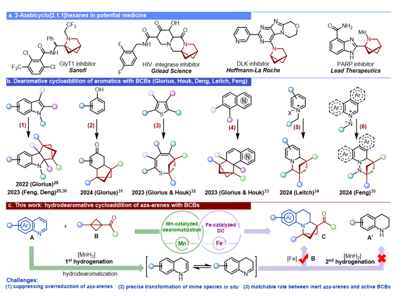 Angew. Chem. ：從平面到立體：新型雙廉價(jià)金屬催化體系開啟氮雜芳烴三維化之門