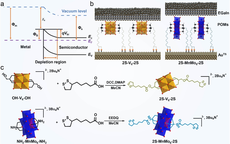 Angew. Chem. ：基于多酸分子結的隧穿輸運到肖特基勢壘的轉變