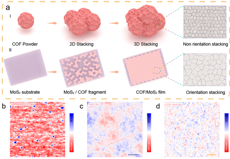 Angew. Chem. ：構建大面積COFs基取向PN異質結構以增強光合成H?O?