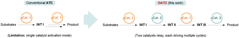 Angew. Chem. ：含末端烯烴手性雙膦配體的開發實現了不對稱正交自串聯催化