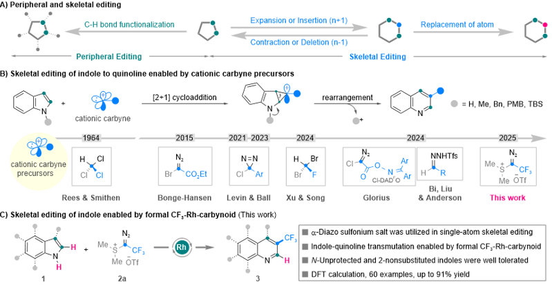 Angew. Chem. ：基于形式銠-卡拜體的吲哚-喹啉骨架轉(zhuǎn)換