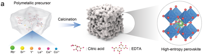 Angew. Chem. ：熵驅動的競爭性吸附位點裁剪解鎖高效混合轉換鋅空氣電池