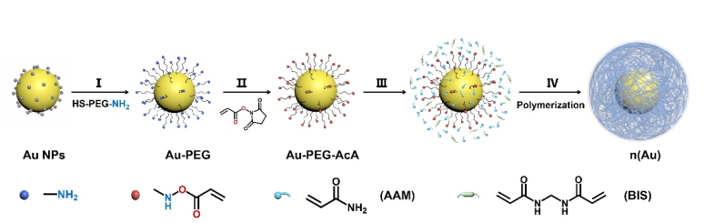 Angew. Chem. ：披甲上陣的金納米粒子：穩定性與可控性的雙飛躍