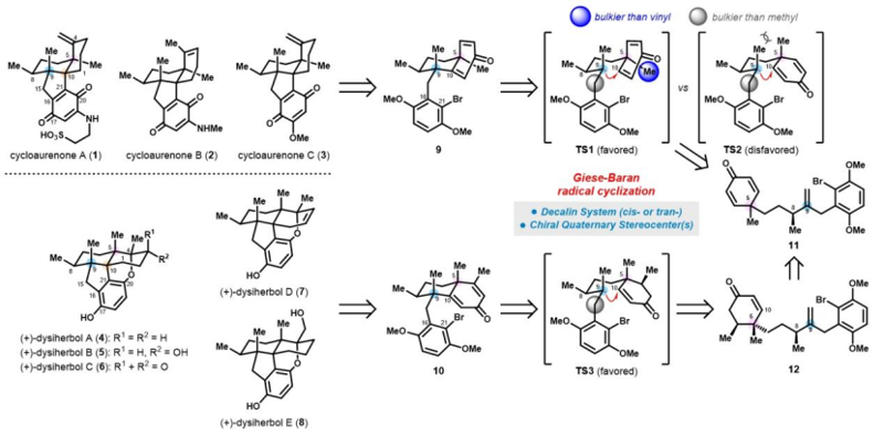 Angew. Chem. : Cycloaurenones和Dysiherbols的首次對映選擇性發散全合成