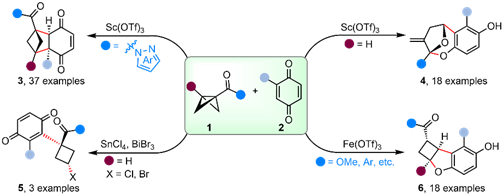 Angew. Chem. ：路易斯酸催化雙環[1.1.0]丁烷與醌的多樣性反應構筑多環分子
