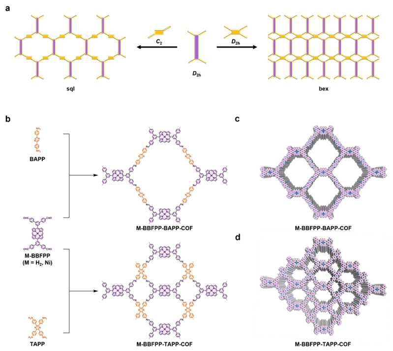 Angew. Chem. ：卟啉基共價有機框架的拓撲結構調控策略及其電子轉移機制解析