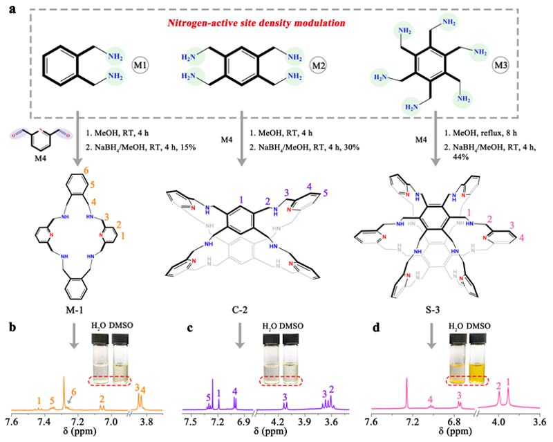 Angew. Chem. ：共價有機超蕃碘正極助力長壽命、可持續(xù)鋅-碘電池