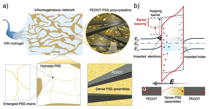 Angew. Chem. ：通過快速離子-電子轉導增強導電水凝膠中的電子電荷傳輸