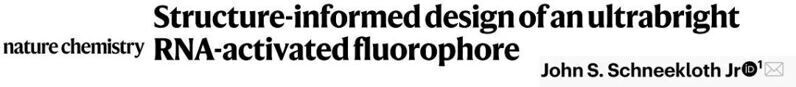 Nat. Chem. | 基于結構設計的超亮RNA熒光探針
