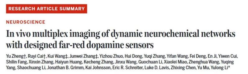 Science | 使用遠紅外多巴胺傳感器對動態神經化學網絡進行體內多重成像