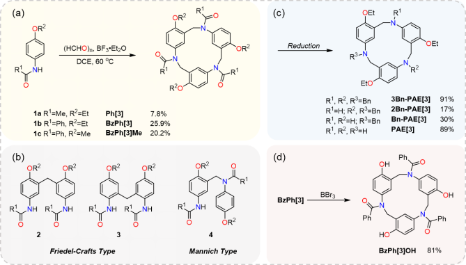 Angew. Chem.：非那西丁[3]芳烴：基于Mannich反應(yīng)的一鍋法大環(huán)合成、豐富的化學(xué)修飾性、獨特結(jié)構(gòu)與變構(gòu)調(diào)節(jié)特性
