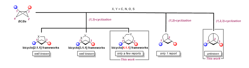Angew. Chem. ：可見光介導下蒽或萘與雙環丁烷的分子內去芳構化反應