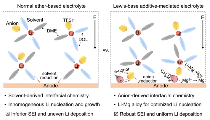Angew. Chem. ：利用路易斯堿添加劑調(diào)控界面化學(xué)實(shí)現(xiàn)高穩(wěn)定性鋰金屬電池