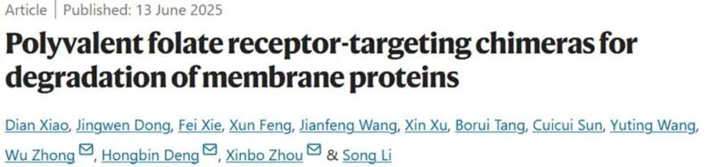 Nat. Chem. Biol. | 用于降解膜蛋白的多價葉酸受體靶向嵌合體