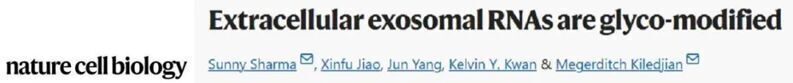 Nat. Cell Biol. | 外泌體RNA的糖基化