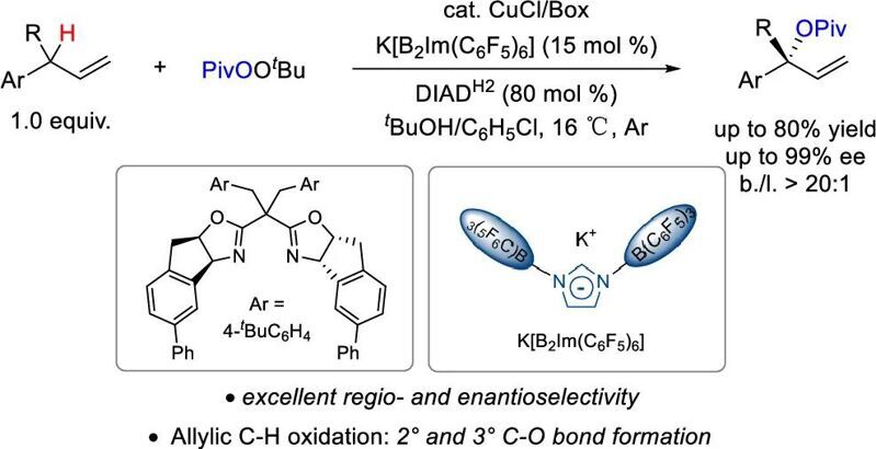 【JACS】銅催化助力末端烯烴不對稱氧化新突破：烯丙C–H鍵精準活化的策略革新