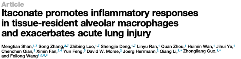 Cell Metab. | 衣康酸促進組織駐留肺泡巨噬細胞的炎癥反應并加劇急性肺損傷