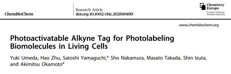 ChemBioChem | 可光激活的炔烴標記物，用于活細胞中生物分子的標記