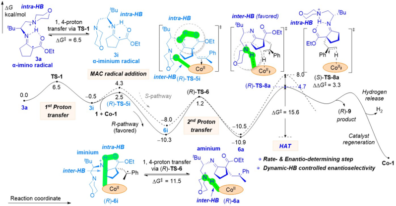 Angew. Chem.：自由基不對(duì)稱偶聯(lián)反應(yīng)中的動(dòng)態(tài)氫鍵效應(yīng)