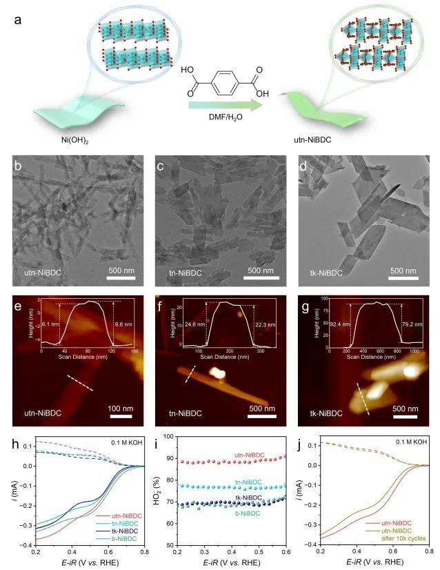 郭正曉院士領銜！北化工Nature子刊: 重構得到配體功能化超薄Ni(OH)2，用于高速HO2-電合成