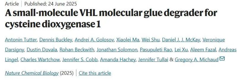 Nat. Chem. Biol. | 一種用于半胱氨酸雙加氧酶1的VHL分子膠降解劑