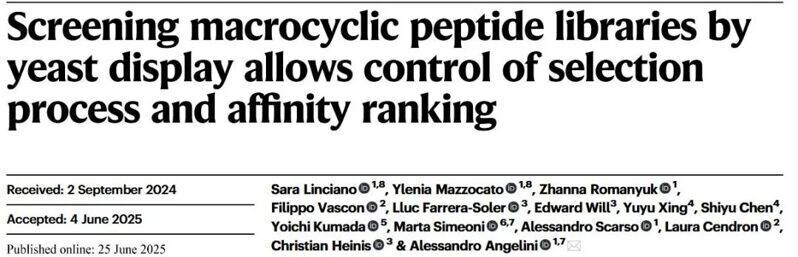 Nat. Commun. | 通過酵母展示的大環肽庫篩選可以控制篩選進程和親和力排序