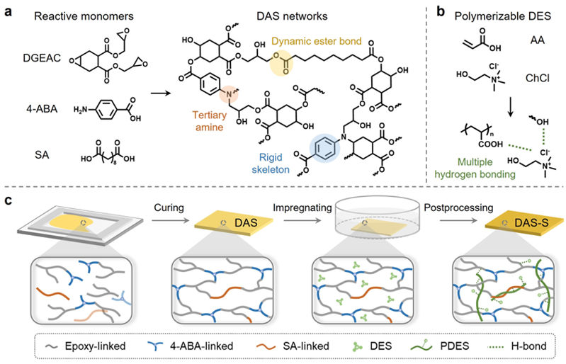 Angew. Chem. ：一種用于可回收高性能復合材料的強韌熱固性環氧樹脂
