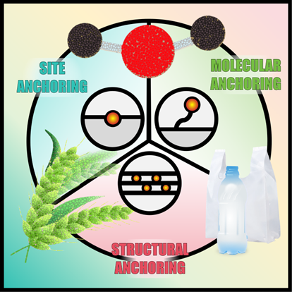 ChemCatChem：負載型金屬催化劑的金屬穩定性：錨定策略及在碳資源轉化中的應用