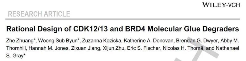 Angew. Chem. Int. Ed. | 理性設計CDK12/13和BRD4的分子膠降解劑