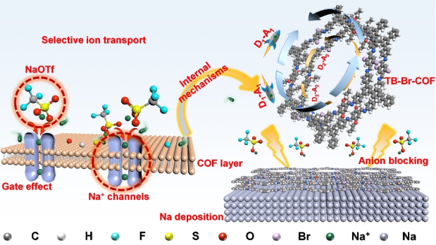 Angew. Chem. ：基于門控效應的分子內雙供體-受體共價有機框架用于超穩定鈉金屬電池