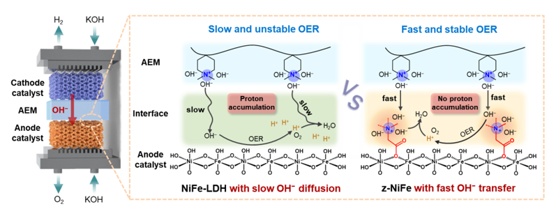 西湖大學(xué)孫立成教授團隊：動態(tài)堿性微環(huán)境實現(xiàn)1.4萬小時陰離子交換膜電解槽穩(wěn)定運行