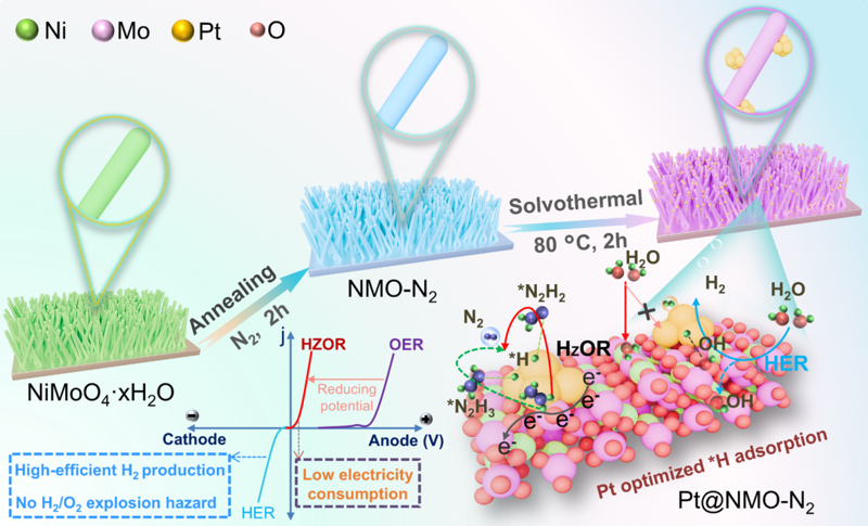 云南大學柳清菊教授/孫華傳博士Nano Energy：界面組分耦合效應誘導電子再分布增強安培級電流密度肼輔助制氫