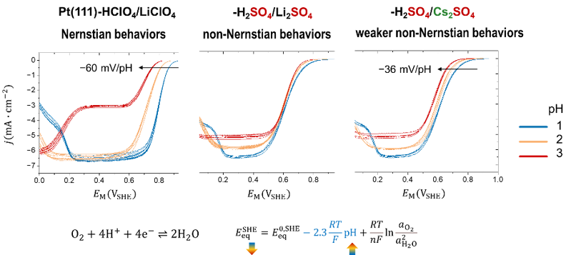 黃俊與陳艷霞課題組ACS Catalysis：氧還原反應非能斯特行為解析