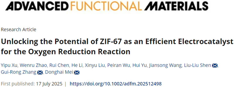 天工大梅東海/張貴榮/沈瀏鎏，最新AFM：非熱解ZIF-67直接作為高效ORR電催化劑