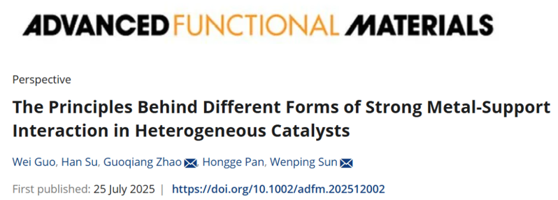 地大（武漢）趙國強&浙大孫文平最新AFM：多相催化劑中不同形式的強金屬載體相互作用背后的原理