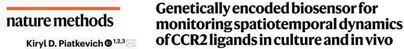 Nat. Methods | CRAFi-CCR2：監測CCR2配體時空動態的生物傳感器