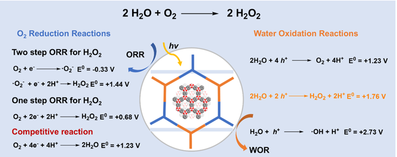 Chem. Eur. J. ：共價有機框架在光催化雙氧水合成中的應用綜述