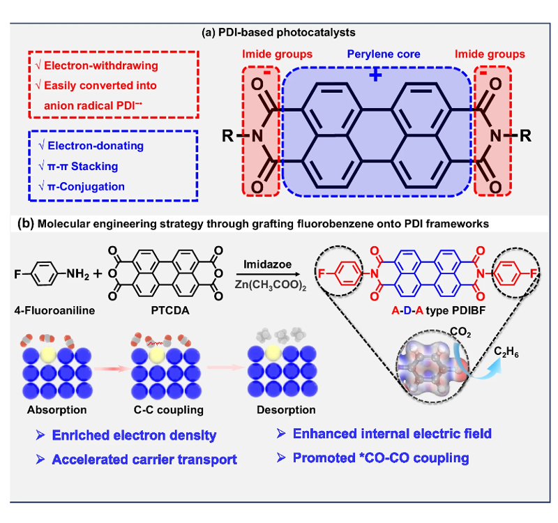 福建農林大學帥李教授和廖光福教授NC：氟苯連接PDI光催化劑以實現純水中選擇性轉化二氧化碳為乙烷