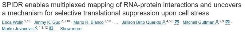Cell | SPIDR 能夠對 RNA-蛋白質相互作用進行多重鑒定，并揭示細胞應激選擇性翻譯抑制的機制