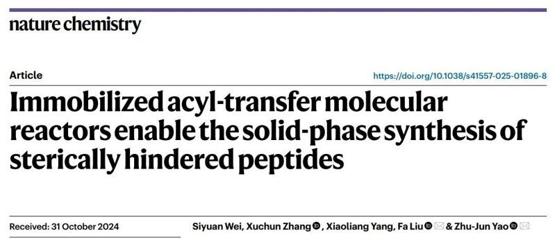 Nat. Chem. | 固相合成中的“仿生思想”：模擬核糖體功能的分子反應器用于大空間位阻的多肽合成