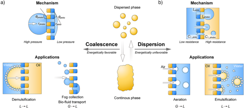 Angew. Chem.：分離膜的Janus優越性