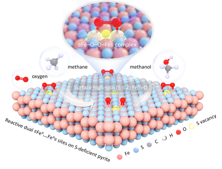 張禮知教授團隊Nat. Commun.：氧氣驅動！黃鐵礦仿酶催化實現甲烷到甲醇的高效轉化