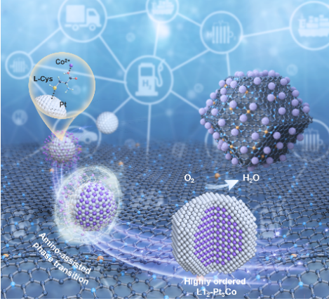 圣路易斯華盛頓大學AM: 兩步法構建高度有序PtCo燃料電池催化劑