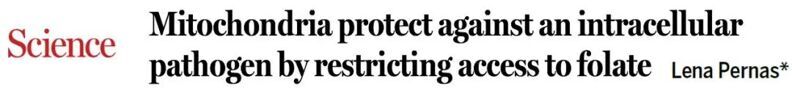 Science | 線粒體限制葉酸獲取以實現胞內病原體抵御